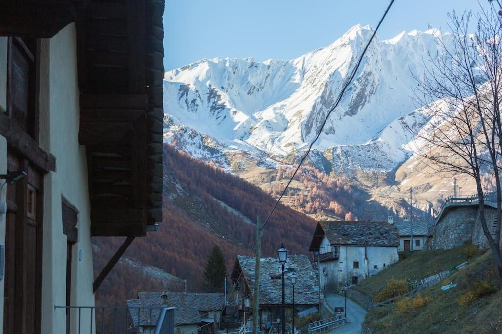 La Meison Des Marronniers Cir 0016 Saint-Rhemy-En-Bosses Dış mekan fotoğraf